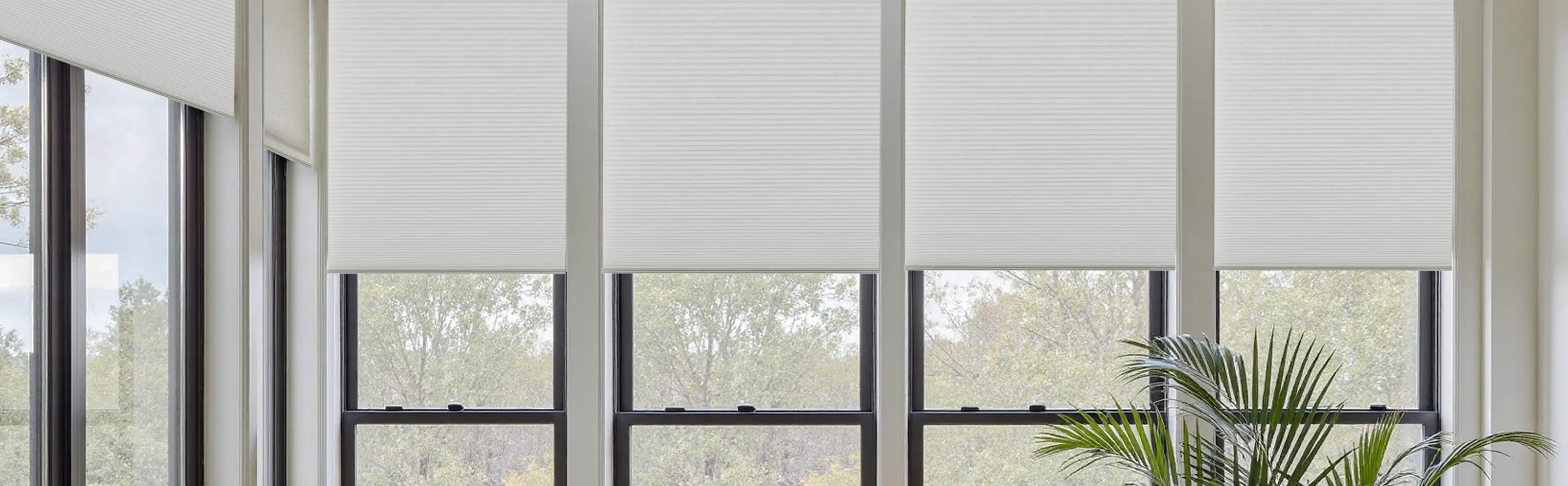 Cellular Shades