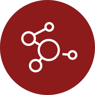 A dark red circular icon with a white molecular or network-style symbol in the center on a white background.