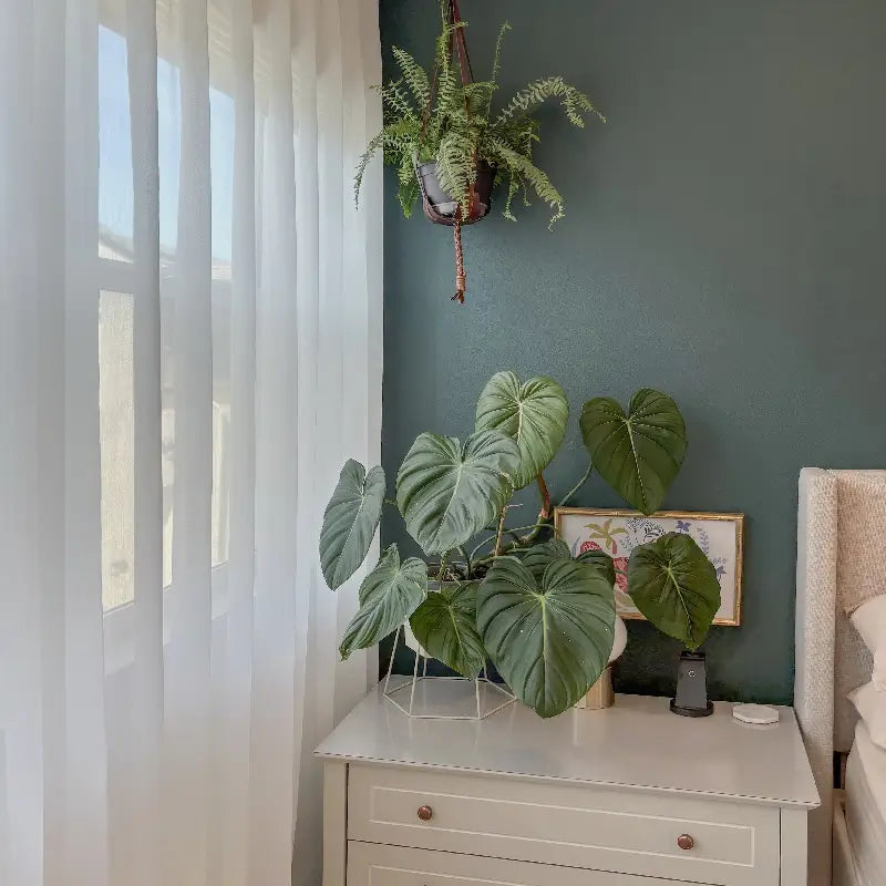 Liana custom light sheer curtains 2023-37_scene_11, showcasing the soft and airy texture of the drapes