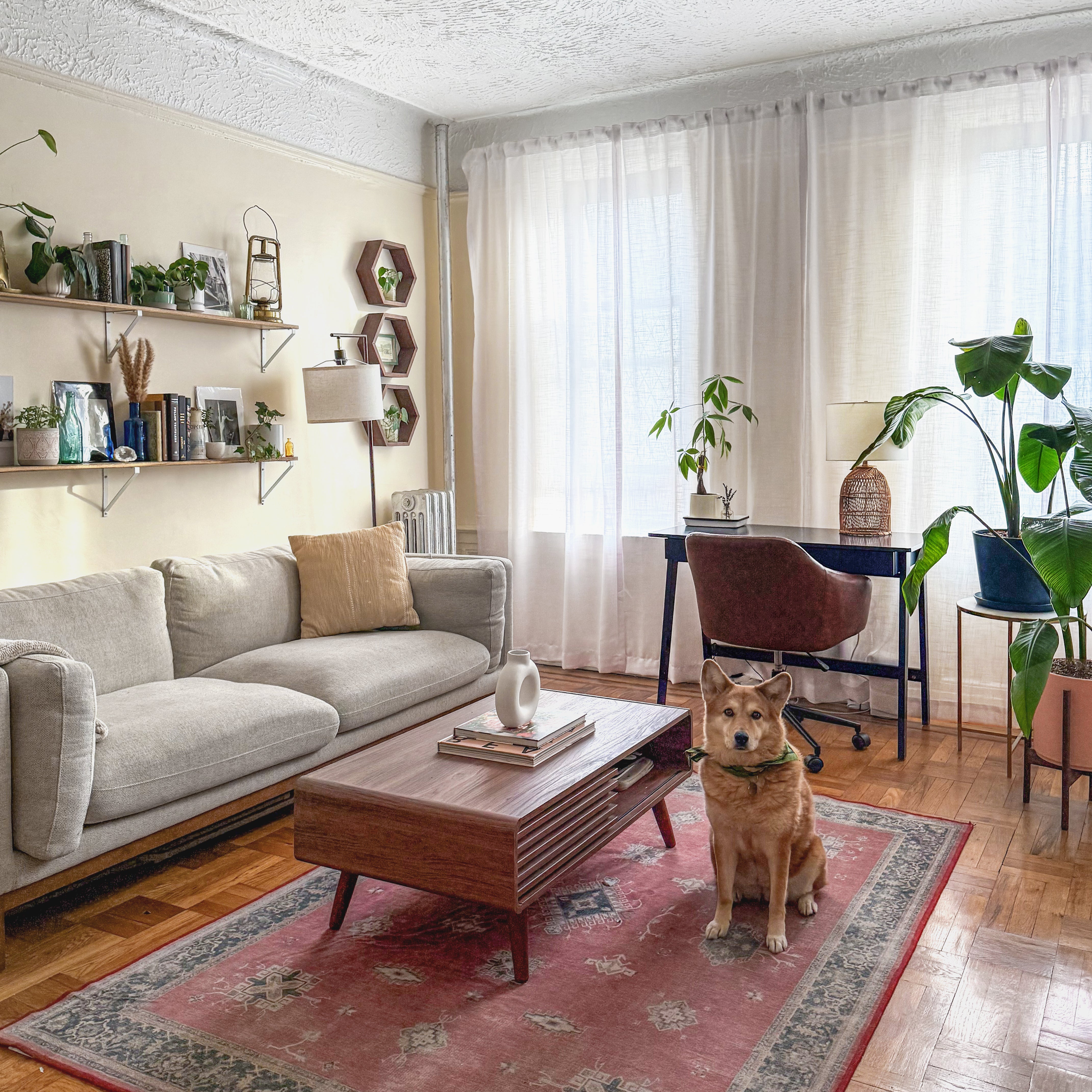 Soft and stylish Orinda Semi Sheer Curtains, ideal for bedrooms and creating a cozy atmosphere.