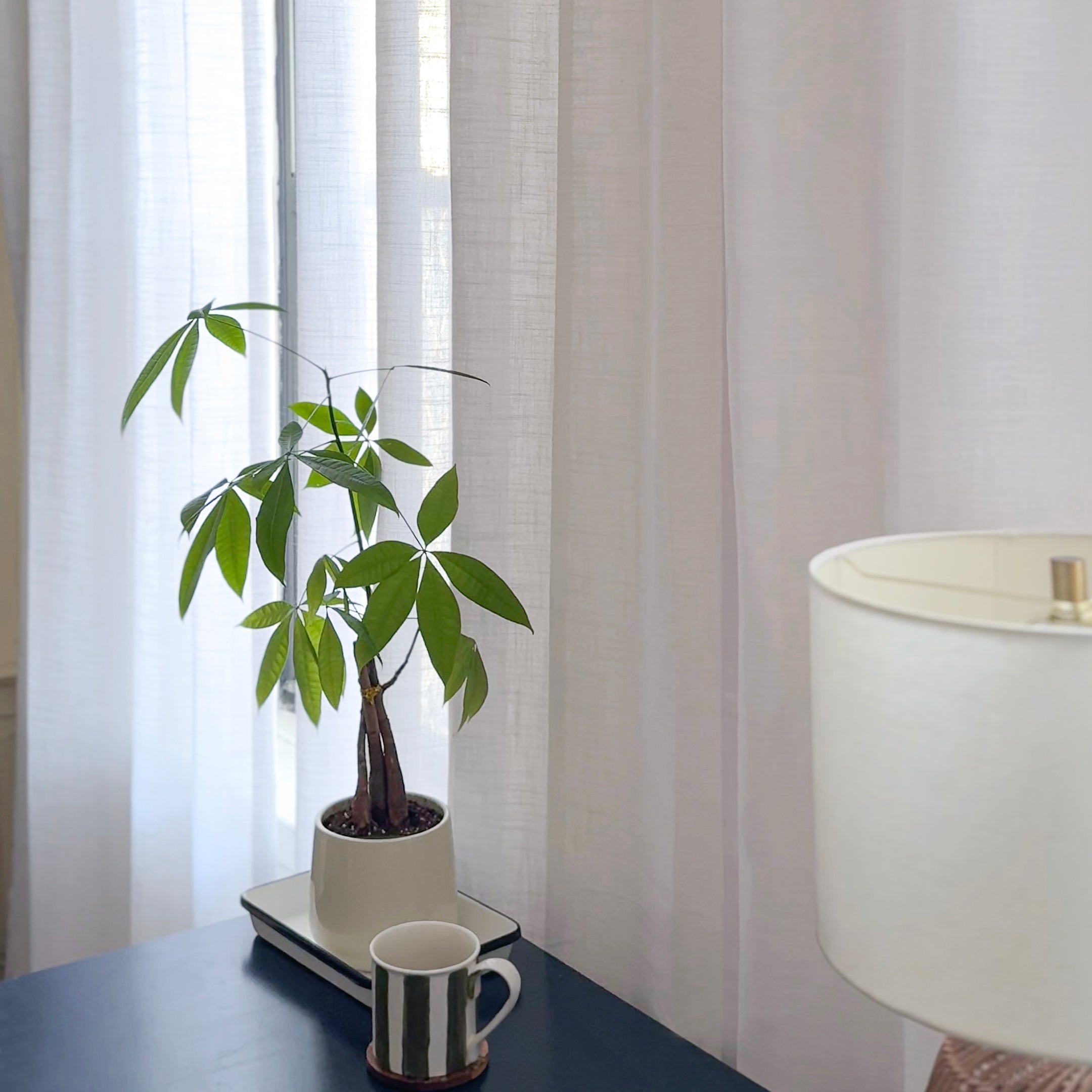 Orinda Semi Sheer Curtains adding a touch of sophistication to your living room, perfect for natural light.