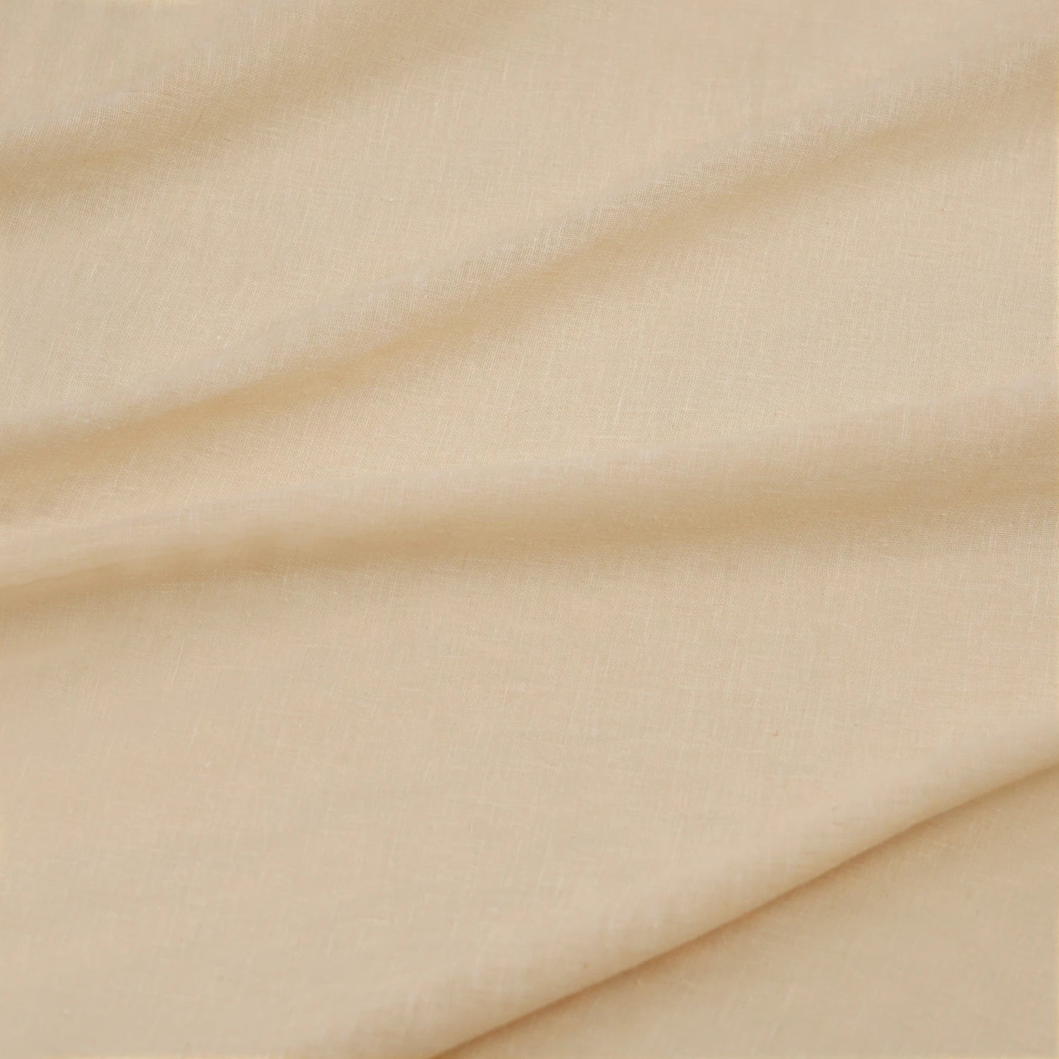 Thalira# 8000-03 Champagne Cream
