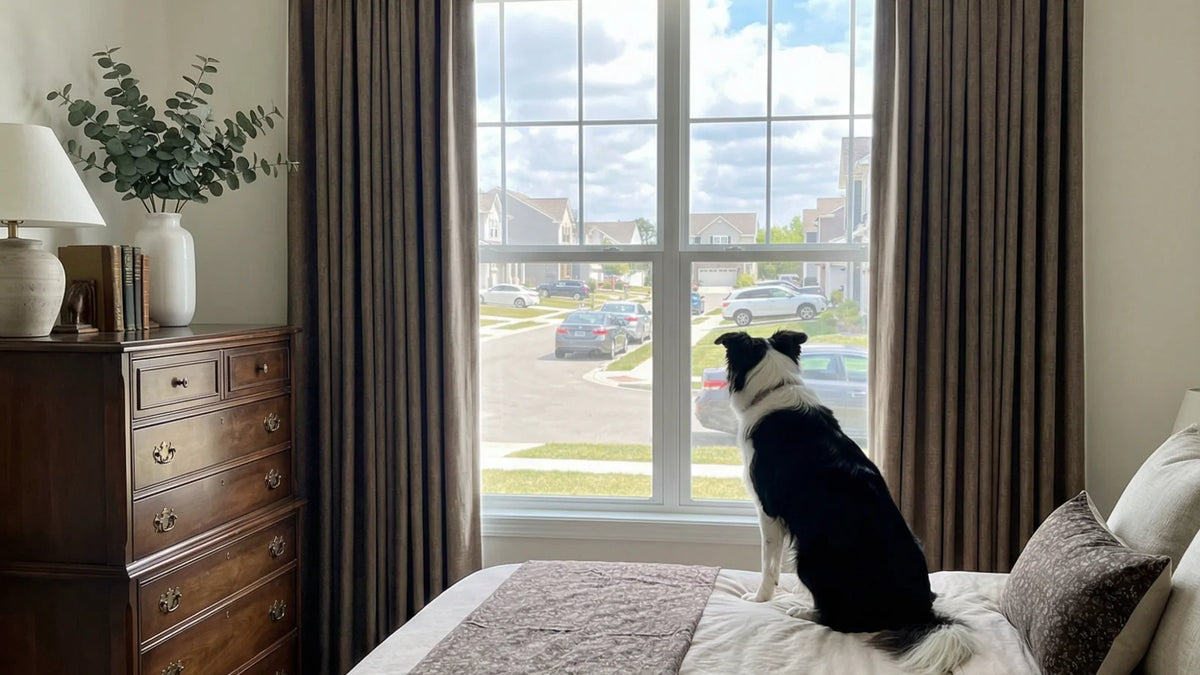 Dog sitting on a bed looking out a window framed by pinch-pleat blackout drapes