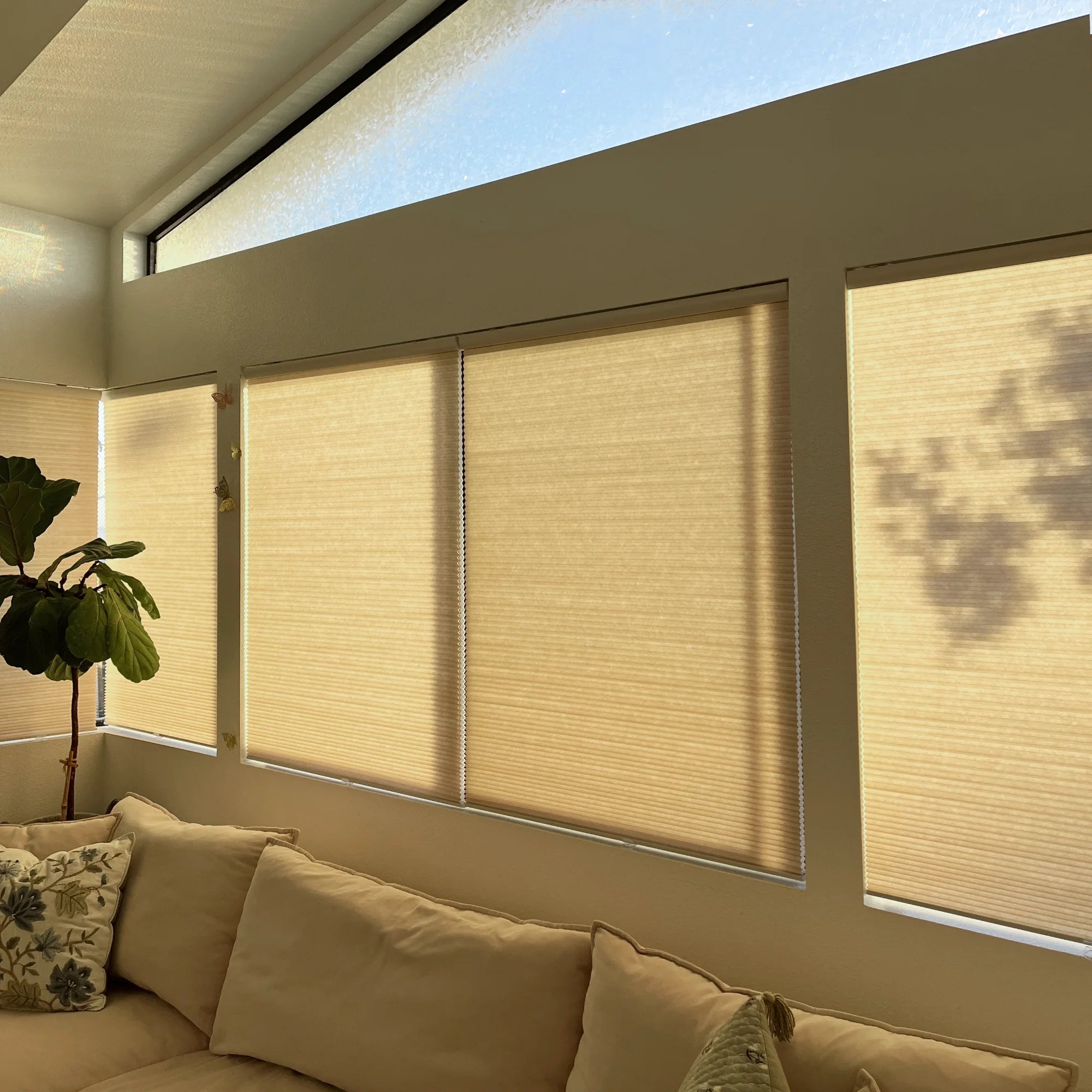 Avenia Linen Beige cordless light filtering cellular shades, custom fit and smooth operation