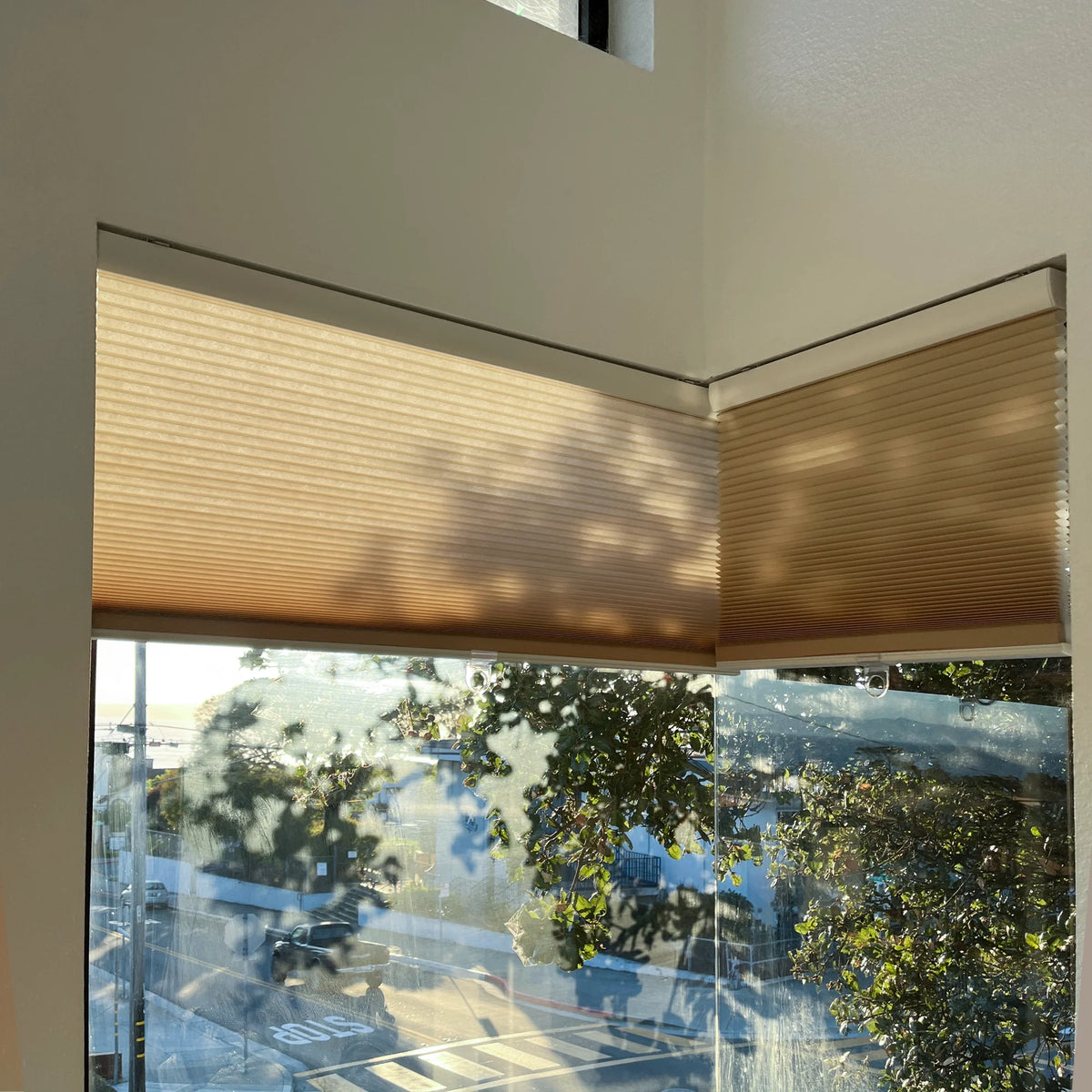 Avenia Linen Beige cordless light filtering cellular shades, creates soft and gentle light