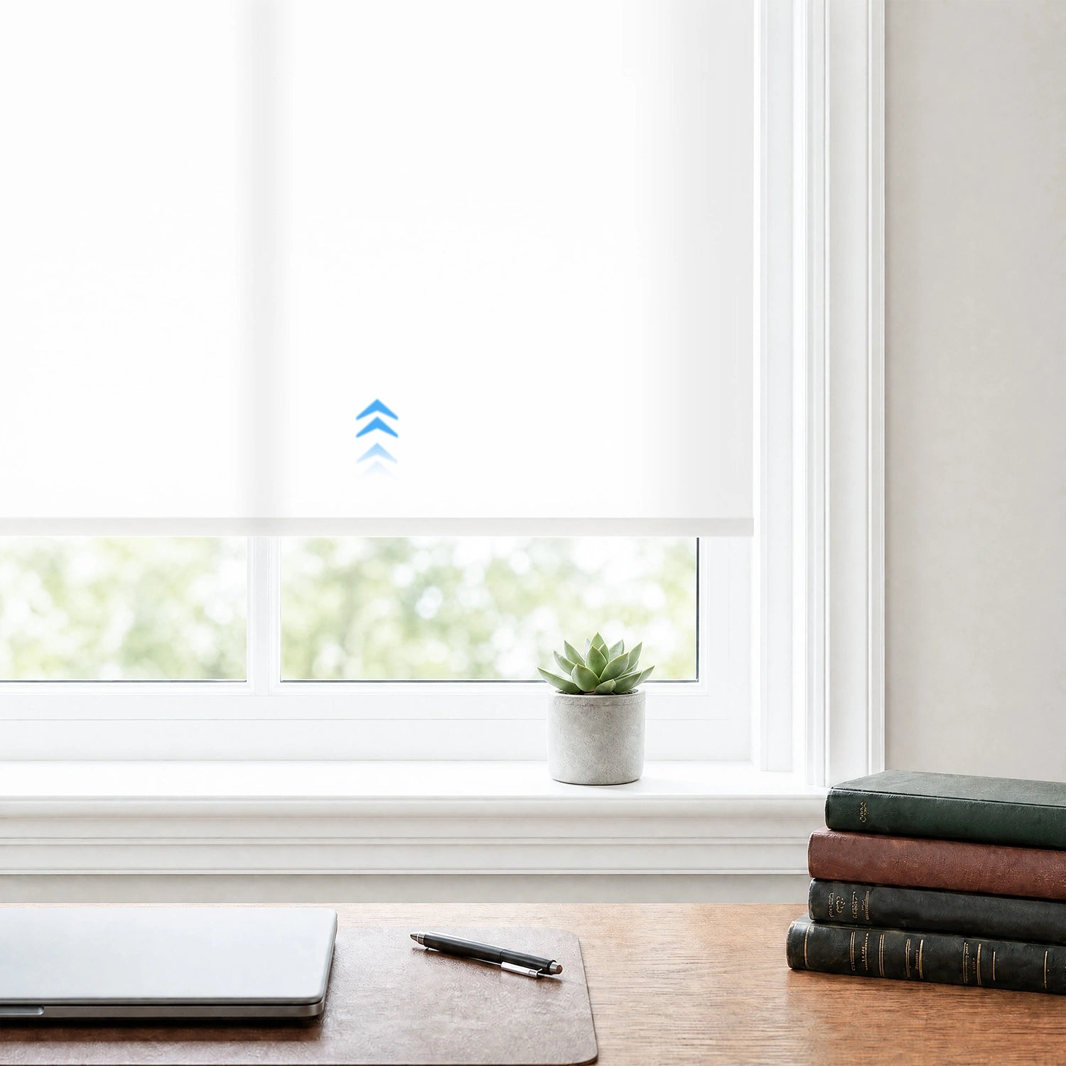 Elyna Smart Motorized 60% Light Filtering Roller Shades