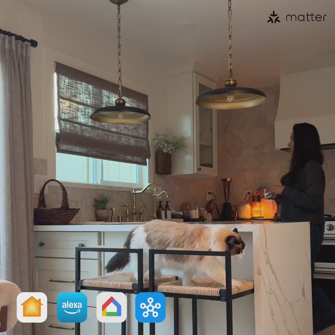 Elara Smart Motorized Linen Roman Shade